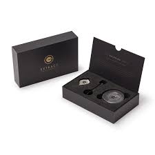 Stylus Cleaning Kit  Goldring